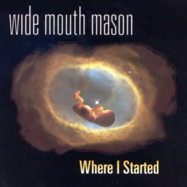 Wide Mouth Mason Where I Started (LP) 