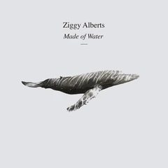 Ziggy Alberts Made Of Water - Deluxe Edition (LP)