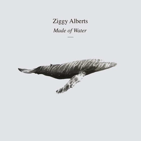 Ziggy Alberts Made Of Water - Deluxe Edition (LP) 