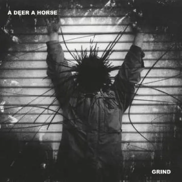 A Deer A Horse Grind (LP) 