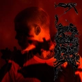 Yung Lean Stranger - LTD (2LP)