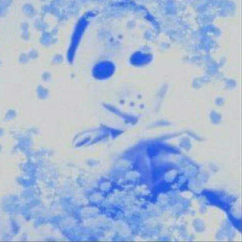 Yung Lean Frost God (CD) 