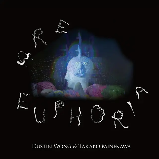 Dustin Wong & Takako Minekawa Are Euphoria (LP) 