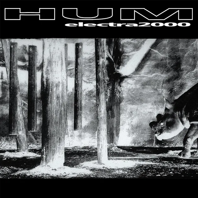 Hum Electra 2000 (2LP) 