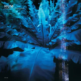 Hum Downward Is Heavenward (2LP)
