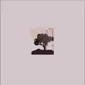 Land Of Talk Performances - LTD (LP)