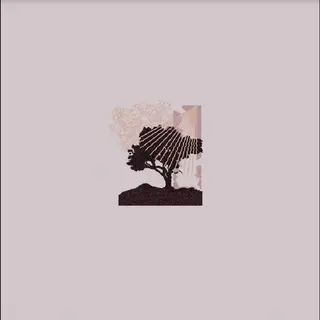 Land Of Talk Performances - LTD (LP)