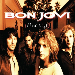 Bon Jovi These Days (2LP)