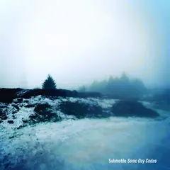 Submotile Sonic Day Codas (LP)