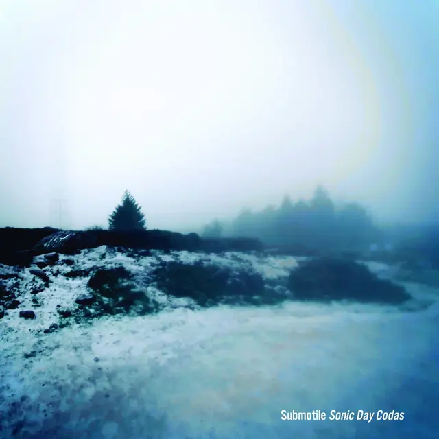 Submotile Sonic Day Codas (LP) 