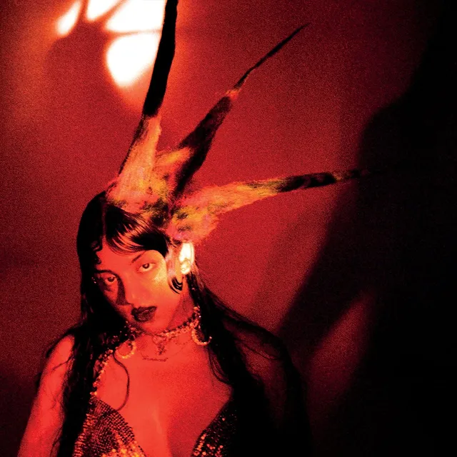 Fran Lobo Burning It Feels Like - LTD (LP) 