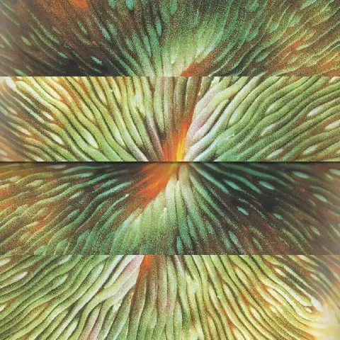 Active Surplus Mirroring (LP) 