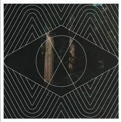 Nils Berg Coming And Going (LP)