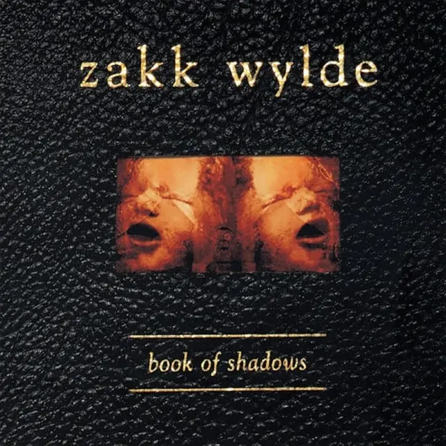 Zakk Wylde Book Of Shadows (2LP) 