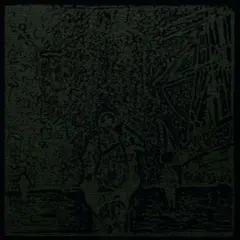 Roy Montgomery Camera Melancholia (2LP)