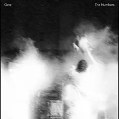 Gate The Numbers (LP)