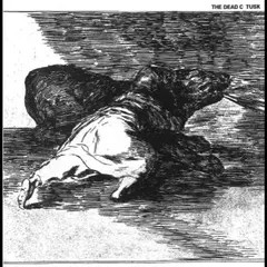 The Dead C. Tusk (2LP)