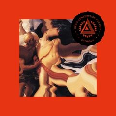 Datarock Media Consumption Pyramid - LTD (LP)