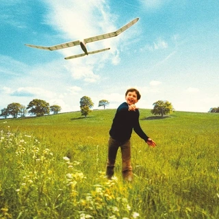 James Blunt Who We Used To Be - LTD (LP)