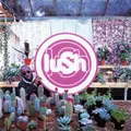 Lush Lovelife (LP)