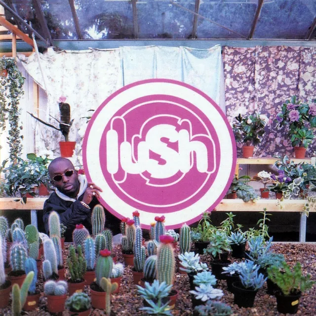 Lush Lovelife (LP) 
