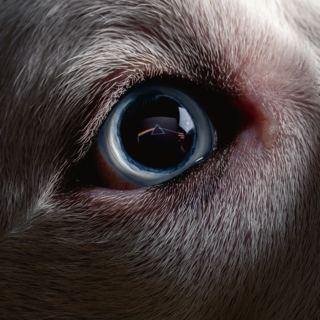 Roger Waters Dark Side Of The Moon Redux (2LP) 