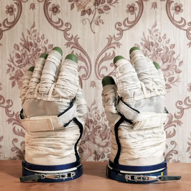 Stephan Mathieu & David Sylvian Wandermüde: Deluxe Edition - LTD (2LP) 