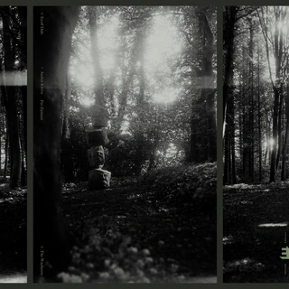 Eyolf Dale The Wayfarers (CD)