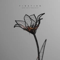 Fixation More Subtle Than Death - LTD (LP)