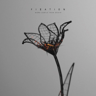Fixation More Subtle Than Death (CD)