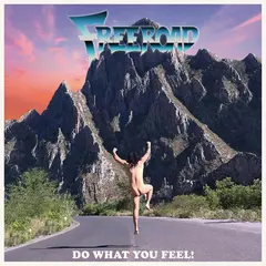 Freeroad Do What You Feel! (LP)