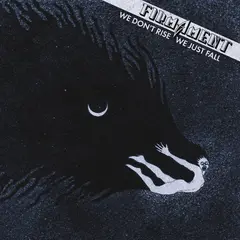 Firmament We Don't Rise, We Just Fall (LP)