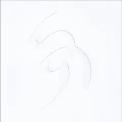 David August Vis (2LP)