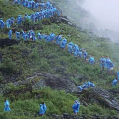 Courtney Barnett End Of The Day OST - LTD (LP)