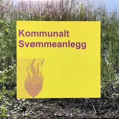 Kommunalt Svømmeanlegg Hjernen Ser Ut Som En Tyggis - LTD (12")