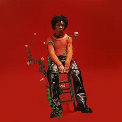d4vd Petals To Thorns - LTD (LP)