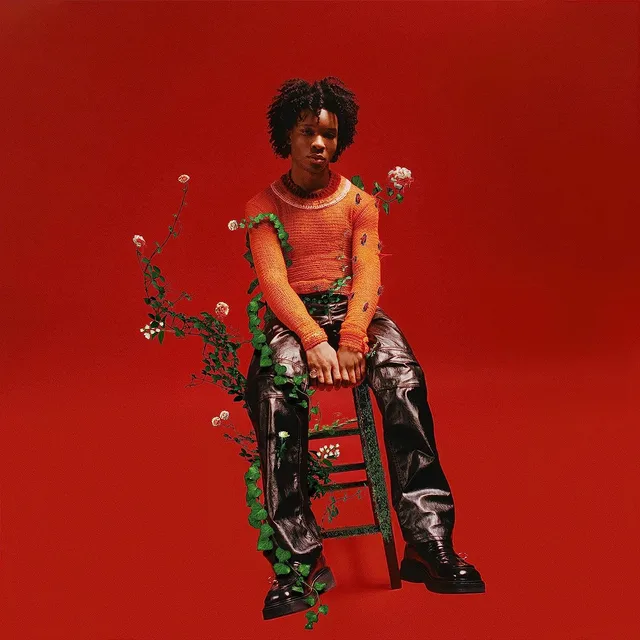 d4vd Petals To Thorns - LTD (LP) 