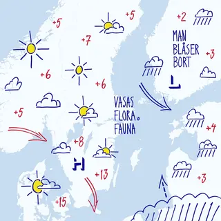 Vasas Flora Och Fauna Man Blåser Bort (LP)