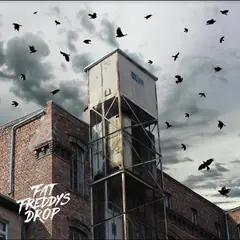 Fat Freddy's Drop Blackbird Returns (2LP)