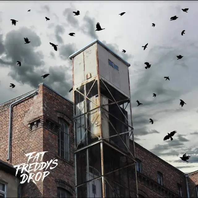 Fat Freddy's Drop Blackbird Returns (2LP) 
