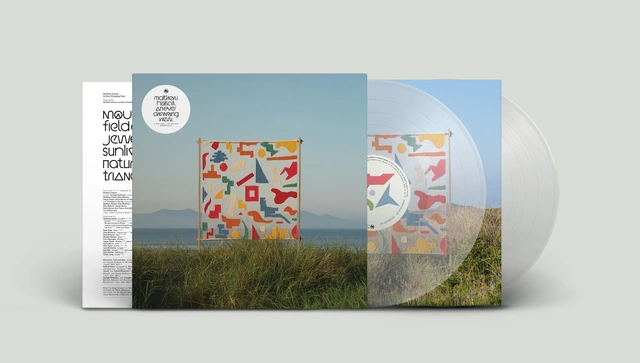 Matthew Halsall An Ever Changing View - LTD (2LP) 