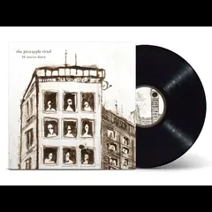 The Pineapple Thief 10 Stories Down (LP)