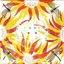 Alabaster DePlume Come With Fierce Grace (CD)