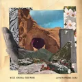 Dave Matthews Band Walk Around The Moon (LP)