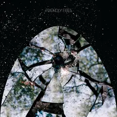 Friendly Fires Friendly Fires: 15th… - LTD (LP)