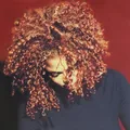 Janet Jackson The Velvet Rope (CD)