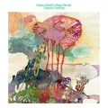 Stephan Meidell &amp; Bergen Barokk Temporal Gardening (LP)