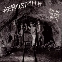 Aerosmith Night In The Ruts (CD)