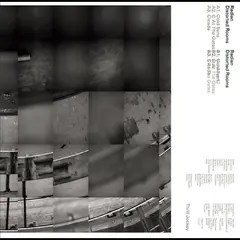 Radian Distorted Rooms (LP)