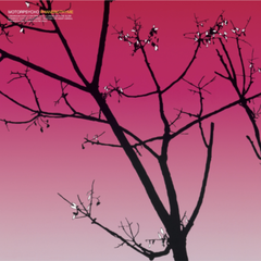 Motorpsycho Phanerothyme (LP)